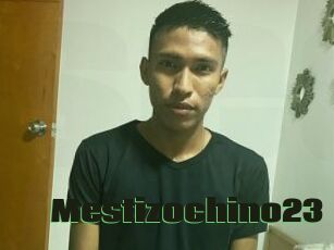 Mestizochino23