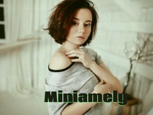 Miniamely