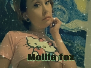 Mollie_fox