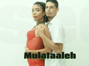 Mulataaleh