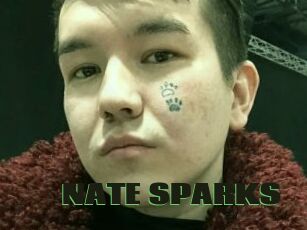 NATE_SPARKS