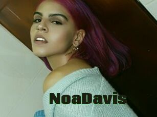 NoaDavis