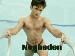 Noaheden