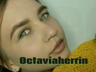 Octaviaherrin