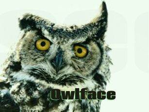 Owlface