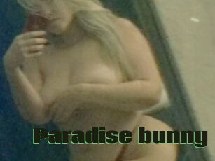 Paradise_bunny
