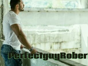 PerfectguyRobert
