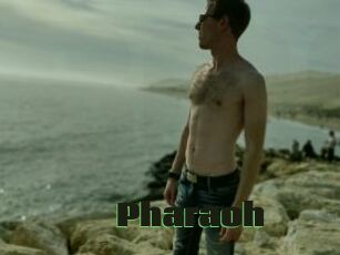 Pharaoh
