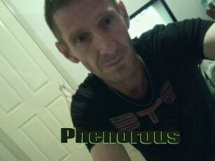Phenorous