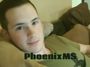PhoenixMS