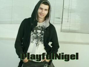 PlayfulNigel