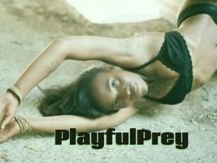 PlayfulPrey