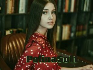 PolinaSoft