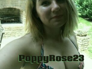 PoppyRose23