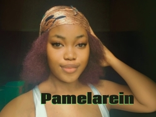 Pamelarein
