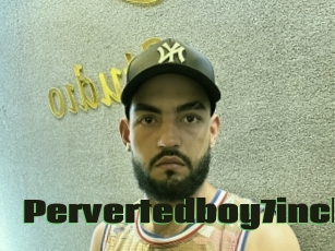 Pervertedboy7inch