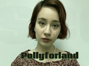 Pollyforland