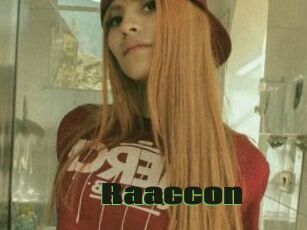 Raaccon