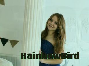 RainbowBird