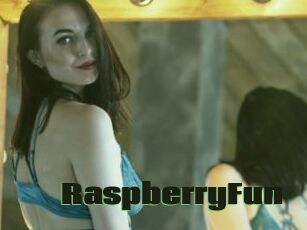 RaspberryFun