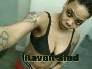 Raven_Stud