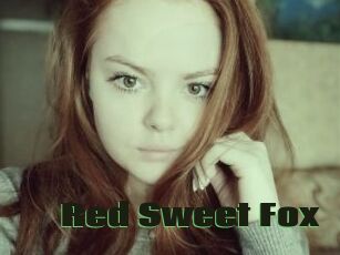 Red_Sweet_Fox