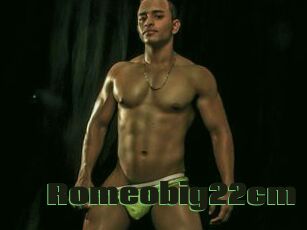 Romeobig22cm