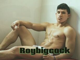 Roybigcock