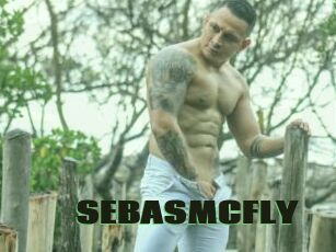 SEBASMCFLY
