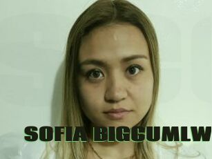 SOFIA_BIGCUMLW