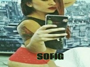 SOFI_G
