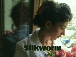 Silkworm