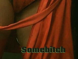 Somebitch