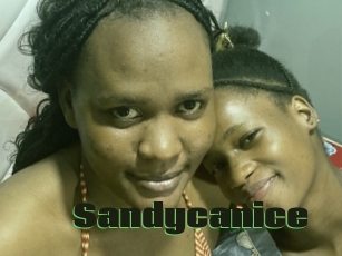 Sandycanice