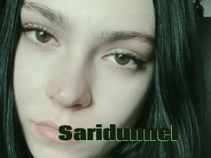 Saridunnel
