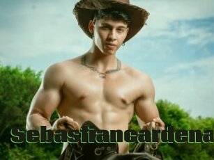 Sebastiancardenas