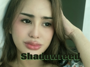Shadowreed