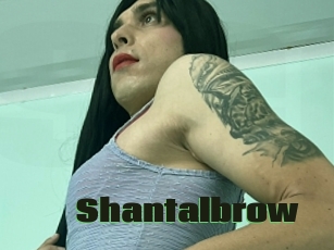 Shantalbrow