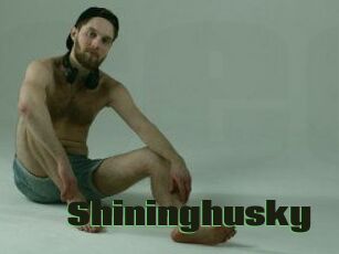 Shininghusky