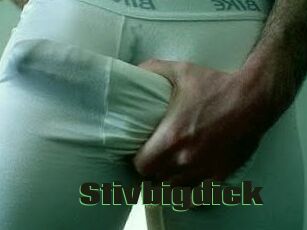 Stivbigdick