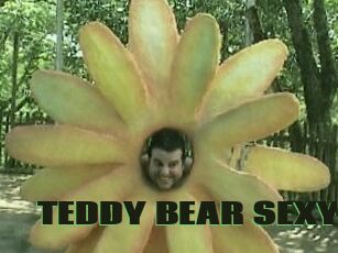 TEDDY_BEAR_SEXY