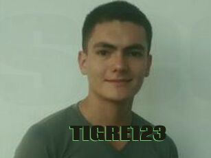 TIGRE_123
