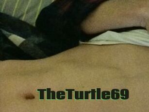 TheTurtle69