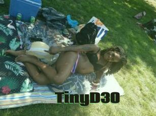TinyD30