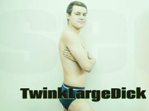 TwinkLargeDick