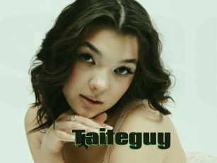 Taiteguy