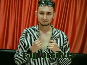 Taylorsilver