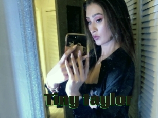 Tiny_taylor