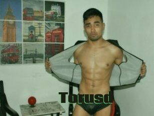Torusd