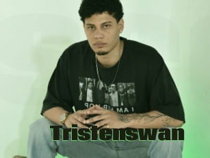 Tristenswan